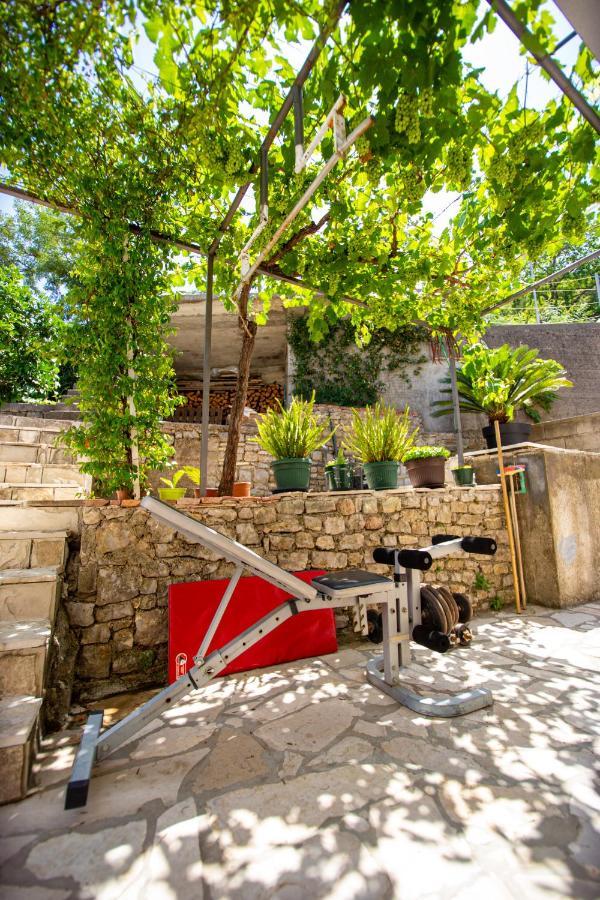 Novak Apartment Budva